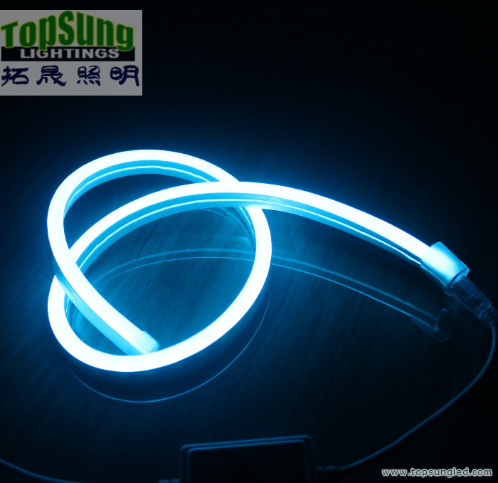 mini size RGB led neon flex 10*18mm full color changing neon light 110V SMD5050