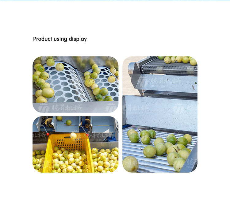 150KG 380V Lemon screening and grading machine stainless steel fruit sorting machine citrus fruit sorting machine