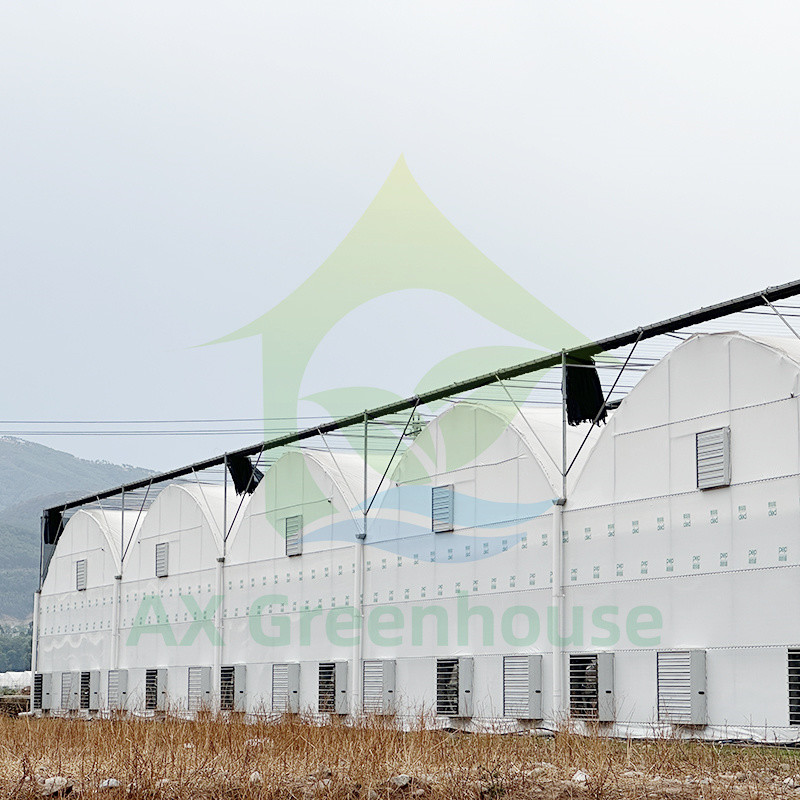 Farm Multi-span Tunnel Greenhouse Plastic Film For Agriculture