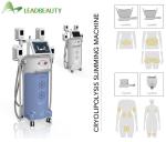 Cryotherapy Fat Burner Reduction Losing Weight Freeze Machine Weight Loss