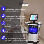 Vertical Professional Hydrafacial Machine Deep Cleaning 14+3 Hydration Facial