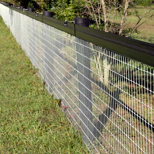 14 Gauge Welded Wire Fencing Farm Fence For Garden Hot Dipped Galvanized Welded Wire Mesh