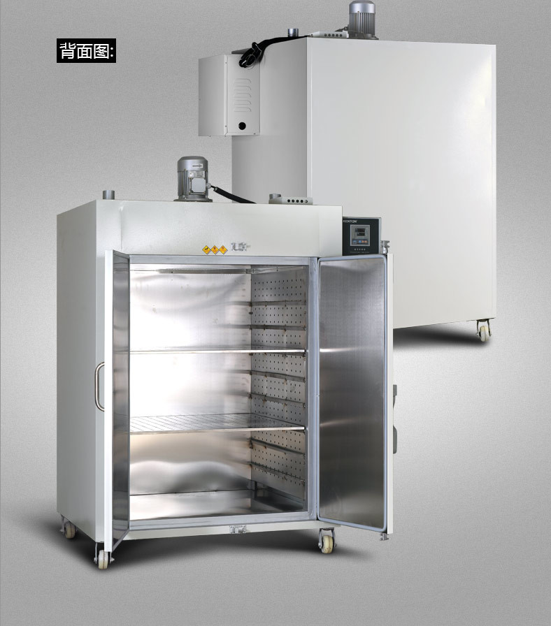 Electrical Industrial Drying Oven Large Resin Fish Meat Drying Machine For Industry