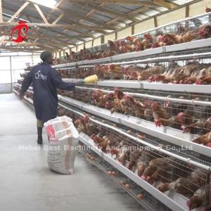 China China Imported Coated Chicken Battery Cage ISO9001 , Layer Chicken Cage System 4 Door Sandy wholesale
