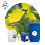 Natural Body Massage Evening Primrose Oil Eliminate Rheumatoid Arthritis