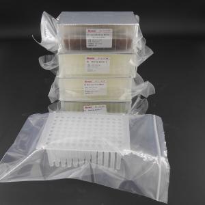 China V Bottom Viral DNA RNA Kit For Viral Nucleic Acid Extraction Prefilled Plates 96 Reactions wholesale