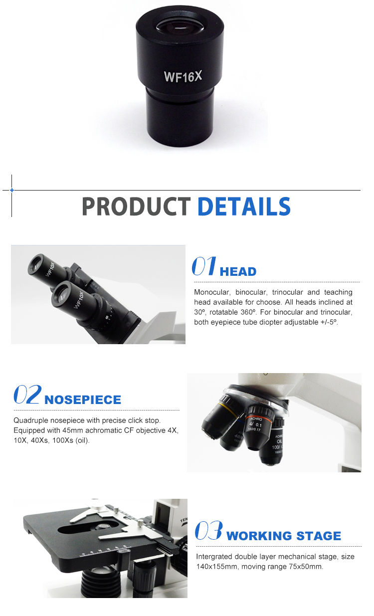 Wide Field Plan WF10X Biological Microscope A11.1316 With Double Layers Mechanical Stage