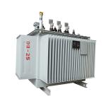 Oil Immersed Transformer (100-1600) kVA for Russian Market, with Accessories