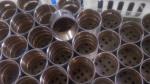 Bimetal Camshaft Bushes Low Friction Enhanced Corrosion Resistance