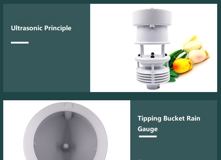 Temperature Range -40-60C and RS485 Output Micro Compact Weather Sensor for Outdoor by BGT