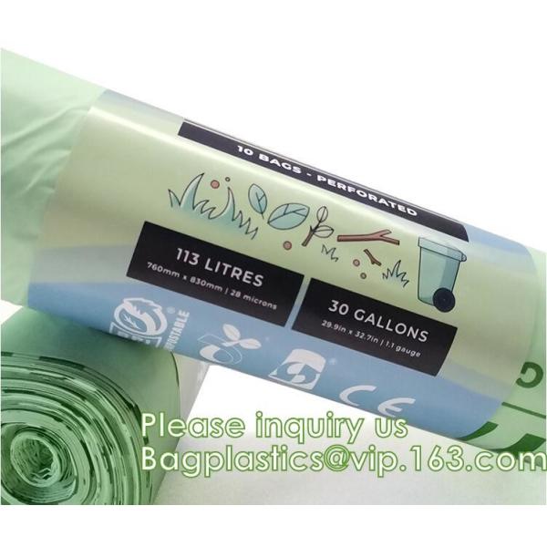 Bagease Bagplastics TUV OK Compost Certificate Custom Logo Resealable Plant Corn Starch Biodegradable Bag for Seeds