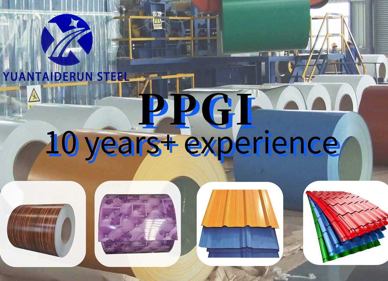 1mm Thick PPGI Steel Coil Dx51d Color Prepainted Galvanized Steel Coil