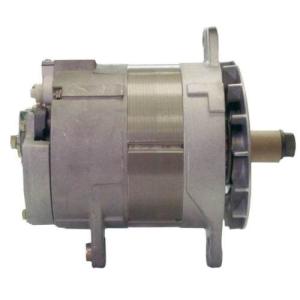 China Alternator 48v A0014417JB wholesale