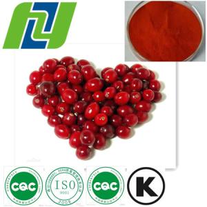 China Cranberry Extract Powder Procyanidin 50% wholesale