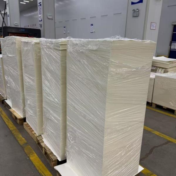 Recyclable PLA Coated Paper Sheet Disposable Biodegradable Food Packaging