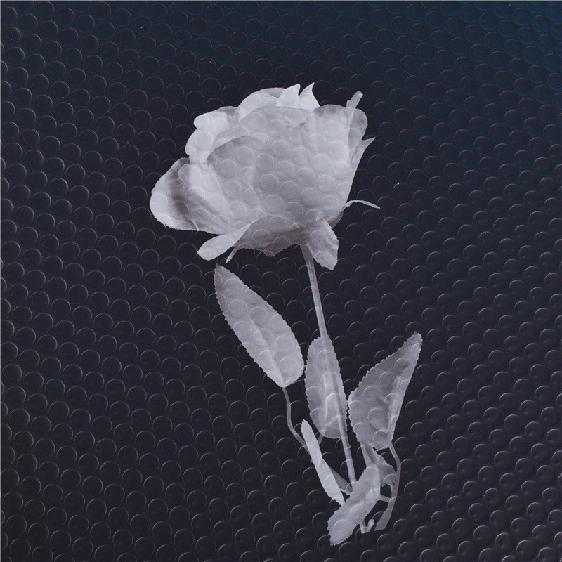 Disposable Biodegradable Black Bubble Envelope Offset Printing Plastic Bubble Envelopes