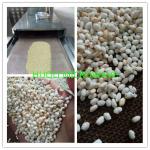 Microwave drying Machine /Sterilizing Machine/dried nut Microwave dryer