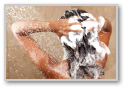 Portable Home Water Ionizer With Acrylic Touch Panel 2.5 - 11.2PH