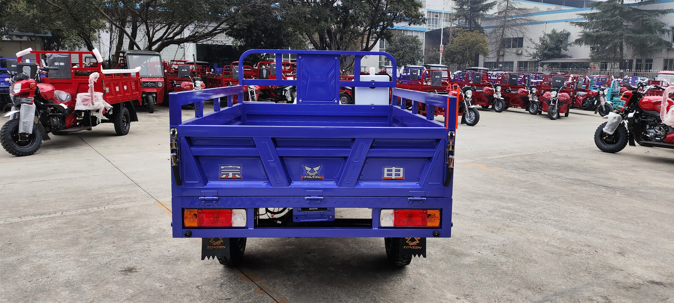 151 200cc Displacement 3 Wheel Gasoline Engine Motorized Petrol Cargo Tricycles for Adults