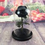 Hot sale Natural Fresh flower rose in big long glass dome Home Decoration and