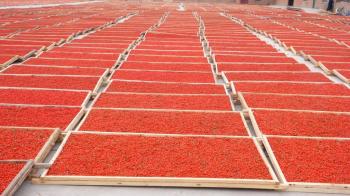 Ningxia Amorberry Foodstuff Co., Ltd.