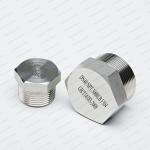 Hexagonl 304L Stainless Steel Forged Pipe Fittings Gas SS Hex Plug