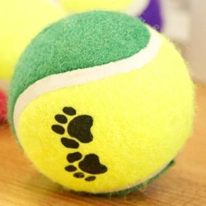 China paw print tennis ball-2pack wholesale