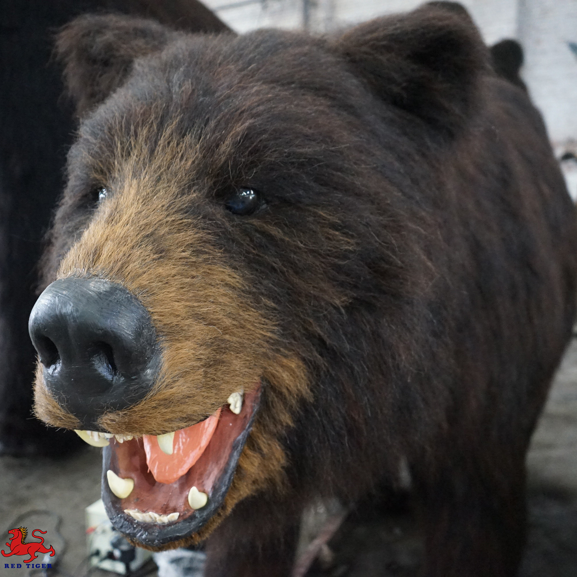 Handmade Realistic Animatronic Animals Life Size With Movement / Sound Customization