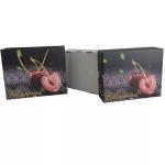 ROYAL Packing Fruit Packaging Boxes Luxury Corrugated With Bags