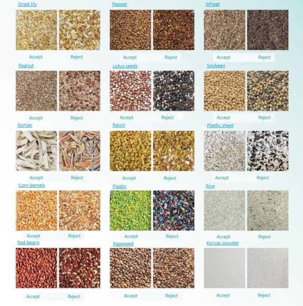 Plastic Flakes Automatic Colour Sorting Machine 2 Chutes