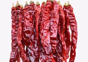 China AD Dried Xian Chilli 20CM Whole Dried Chillies Non Irradiated wholesale
