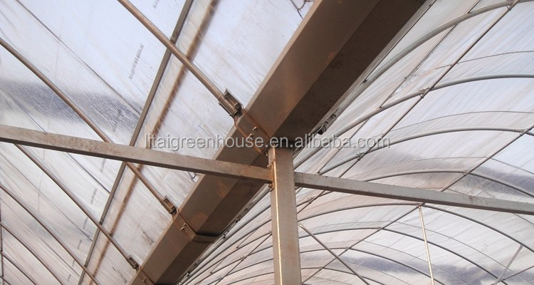 Namibia Africa Gutter Connected Greenhouse with Optimal Ventilation and Single Layer