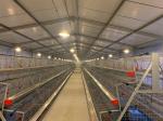 Sturdy and Customizable Steel Warehouse for Gymnasium Professional Industrial
