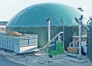 China 18TPH Organic Animal Waste Biomass Gasification Power Plant wholesale