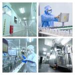 OEM Room Temperature Storage Delicious Flavored Sugar Free Mint Candy