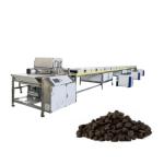 1000mm Chocolate Chip Making Machine