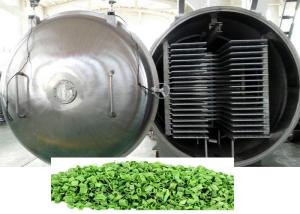 China High Performance Vacuum Freeze Machine 100kg/Batch wholesale