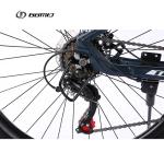 Aluminium Alloy Custom Simulated Carbon Fiber Mountain Bike for Man 29 Inch