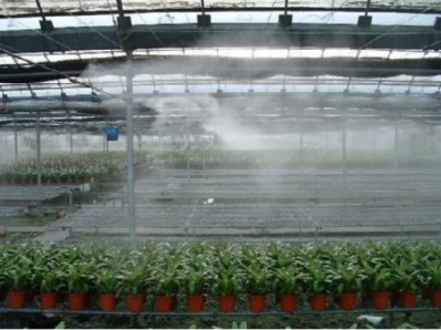 Multi Span Greenhouse Project Management & Advanced Irrigation For Large Farms