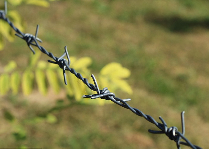 Farm Protection Double Strand Reverse Twist Hot Dipped Galvanized Barbed Wire Roll