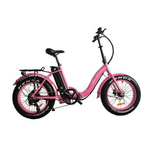 China Men'S Lightweight Full Suspension Fat Tire Electric Bike Off Road wholesale