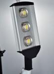 60 W street light
