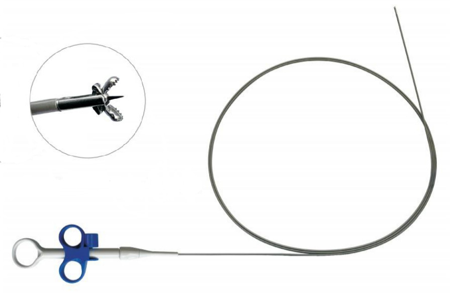 Low Temperature Rf Plasma Generator System For Pneumology And Gastroenterology