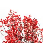 Preserved Gypsophila Baby'S Breath , Dried Gypsophila Wedding Table Flowers