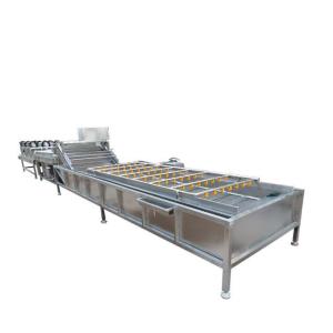 China Customized Fruit Vegetable Washing Machine Ginger Bubble Washing Machine wholesale