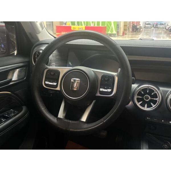 Popular Tank 300 2021 City Edition 2.0T Very stylish Gasoline Chinese Vehicle