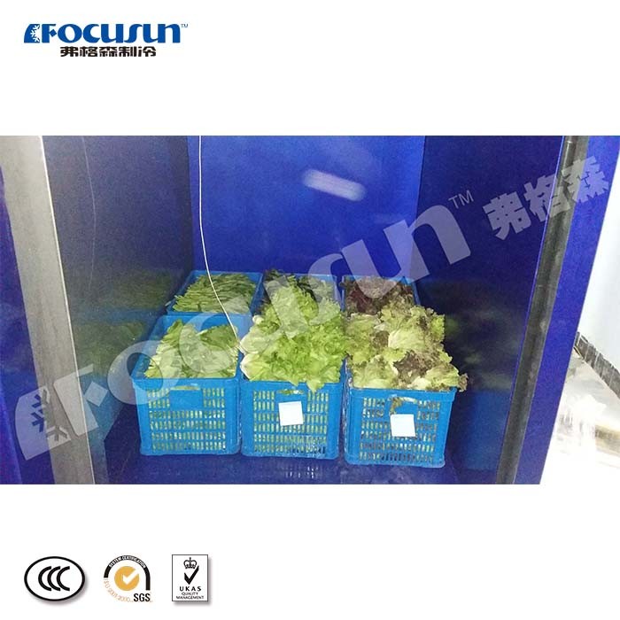 Focusun Vacuum Cooling Equipment for Fruits and Vegetables 380V/3Ph/50Hz Voltage