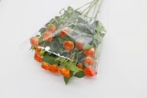 China Transparent Plastic OPP Packaging Bag 180 Microns Oil Proof wholesale