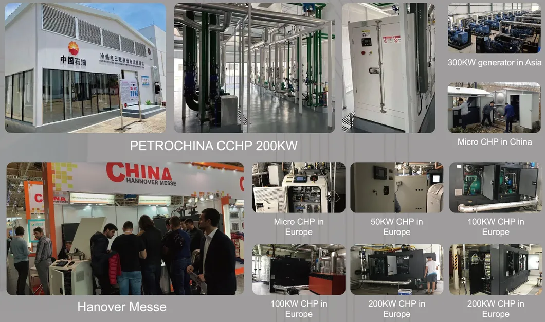 50Hz 60Hz Open Type 24hours Continuous Natural Gas Generator 200kw 250kVA