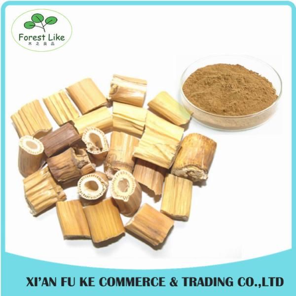 Quality High Quality Hydrangea Root Extract Powder 5:1 - 20:1 for sale